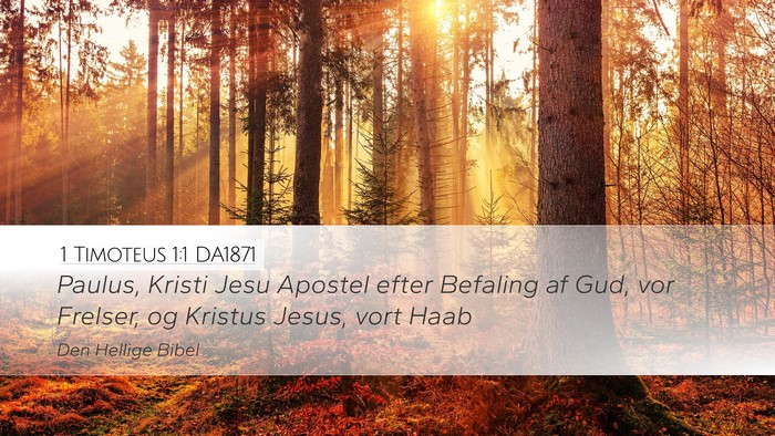 1 Timoteus 1:1 DA1871 Bible Verse Image