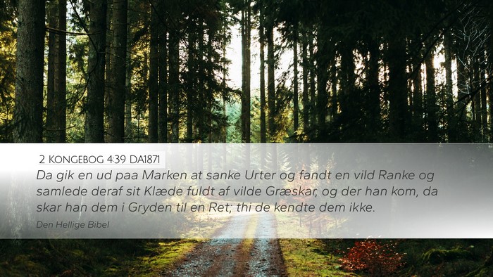 2 Kongebog 4:39 DA1871 Desktop Wallpaper - Da gik en ud paa Marken at sanke Urter og fandt - Desktop Bible Verse Wallpaper