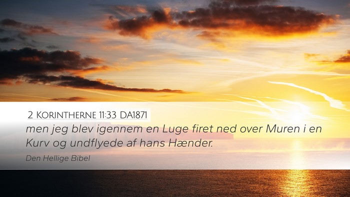 2 Korintherne 11:33 DA1871 Bible Verse Image