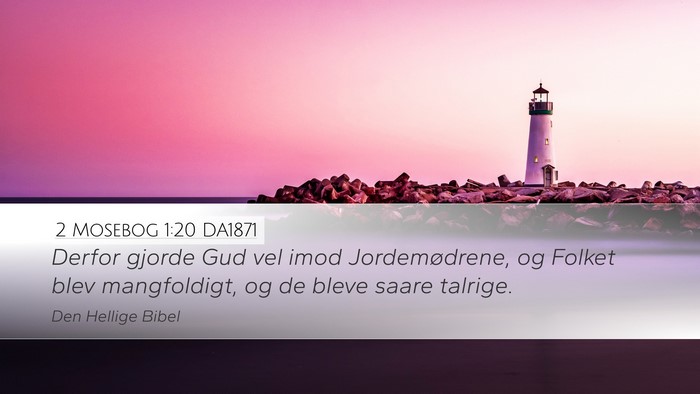 2 Mosebog 1:20 DA1871 Bible Verse Image