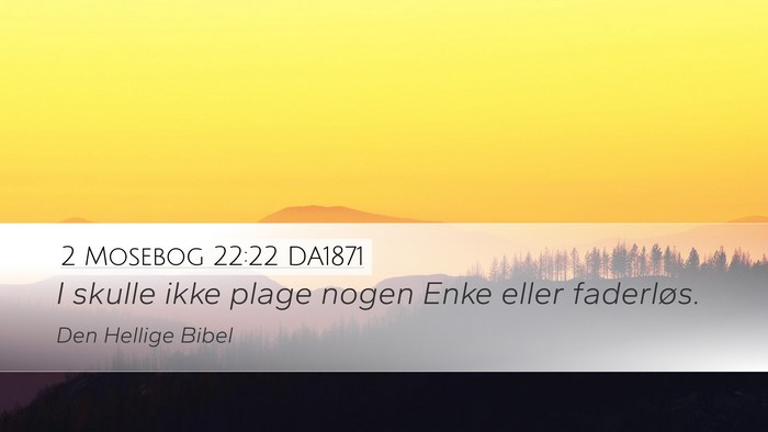 2 Mosebog 22:22 DA1871 Bible Verse Image