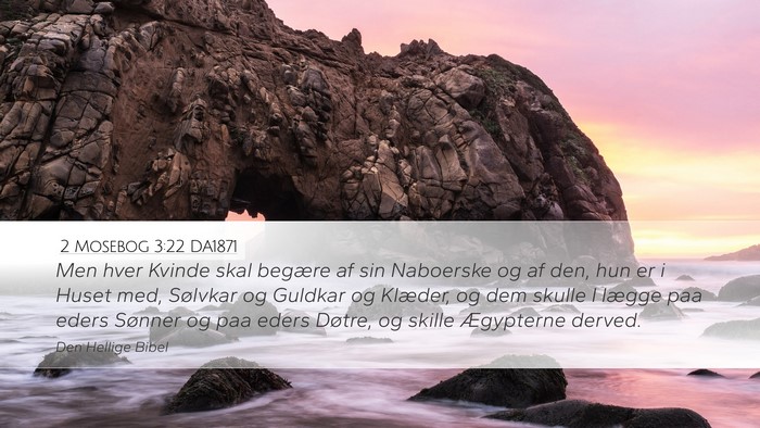 2 Mosebog 3:22 DA1871 Bible Verse Image