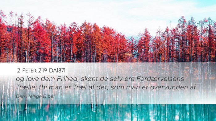 2 Peter 2:19 DA1871 Desktop Wallpaper - og love dem Frihed, skønt de selv ere - Desktop Bible Verse Wallpaper