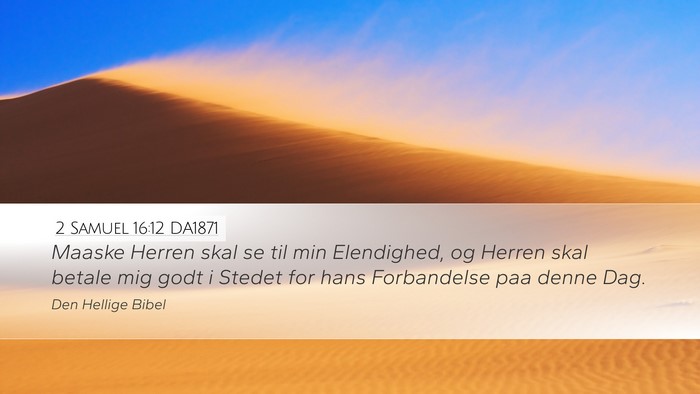 2 Samuel 16:12 DA1871 Bible Verse Image