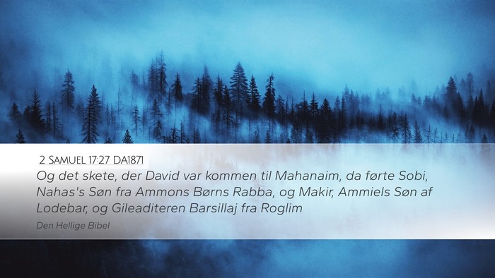 2 Samuel 17:27 DA1871 Bible Verse Image