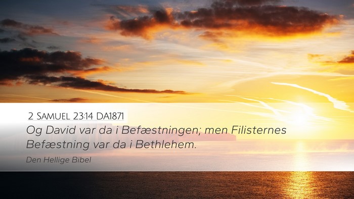 2 Samuel 23:14 DA1871 Bible Verse Image