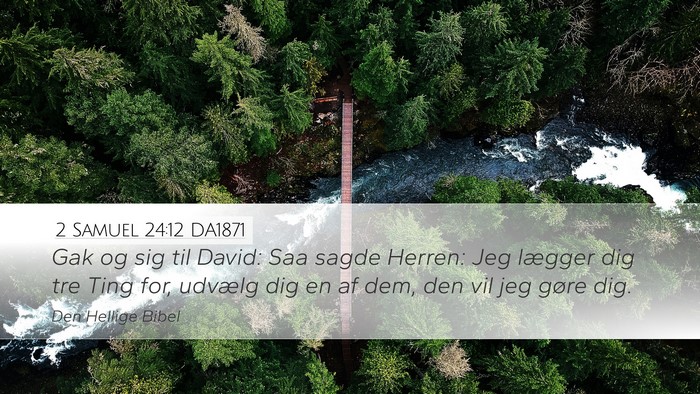 2 Samuel 24:12 DA1871 Bible Verse Image