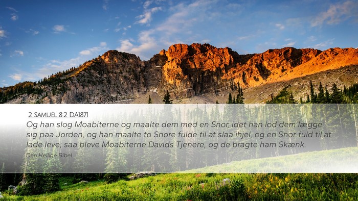 2 Samuel 8:2 DA1871 Bible Verse Image