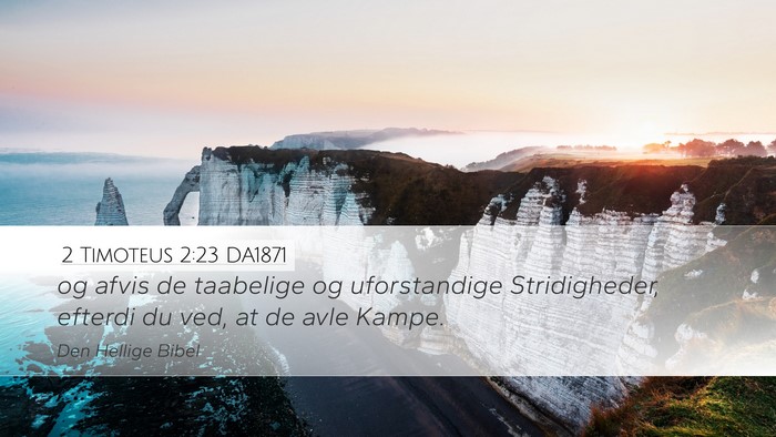 2 Timoteus 2:23 DA1871 Bible Verse Image