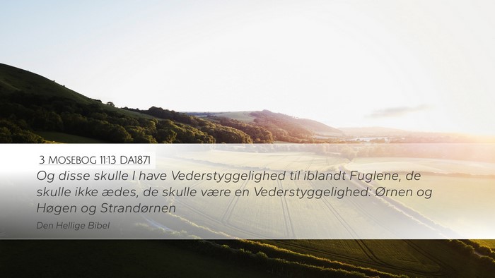 3 Mosebog 11:13 DA1871 Desktop Wallpaper - Og disse skulle I have Vederstyggelighed til - Desktop Bible Verse Wallpaper
