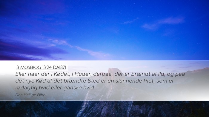 3 Mosebog 13:24 DA1871 Desktop Wallpaper - Eller naar der i Kødet, i Huden derpaa, der er - Desktop Bible Verse Wallpaper
