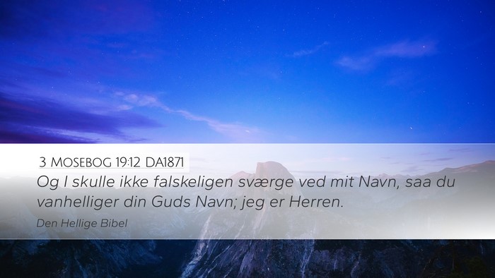 3 Mosebog 19:12 DA1871 Bible Verse Image