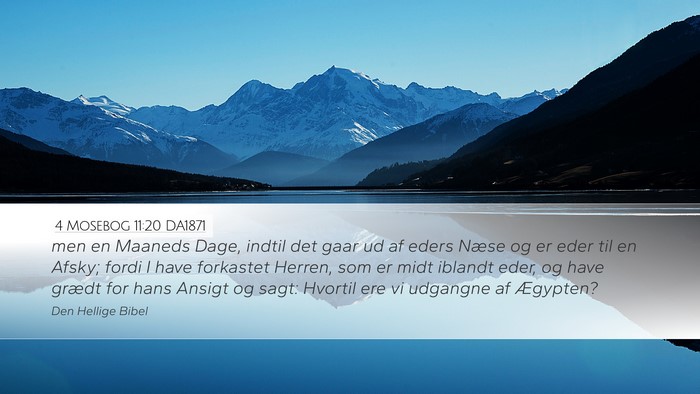 4 Mosebog 11:20 DA1871 Desktop Wallpaper - men en Maaneds Dage, indtil det gaar ud af eders - Desktop Bible Verse Wallpaper