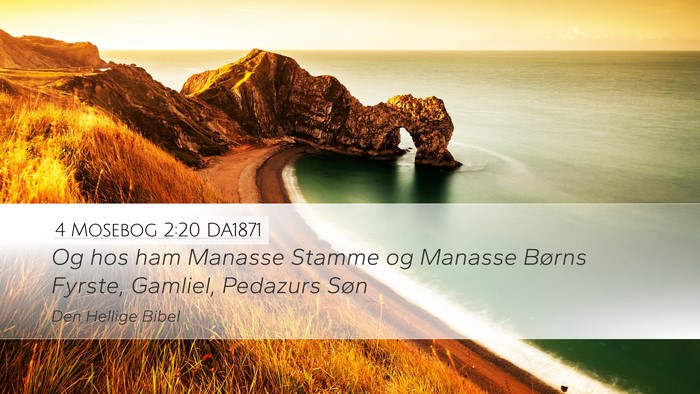 4 Mosebog 2:20 DA1871 Bible Verse Image