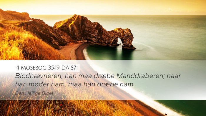 4 Mosebog 35:19 DA1871 Bible Verse Image