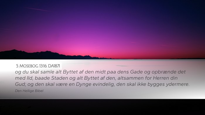5 Mosebog 13:16 DA1871 Bible Verse Image