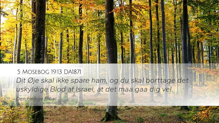 5 Mosebog 19:13 DA1871 Bible Verse Image