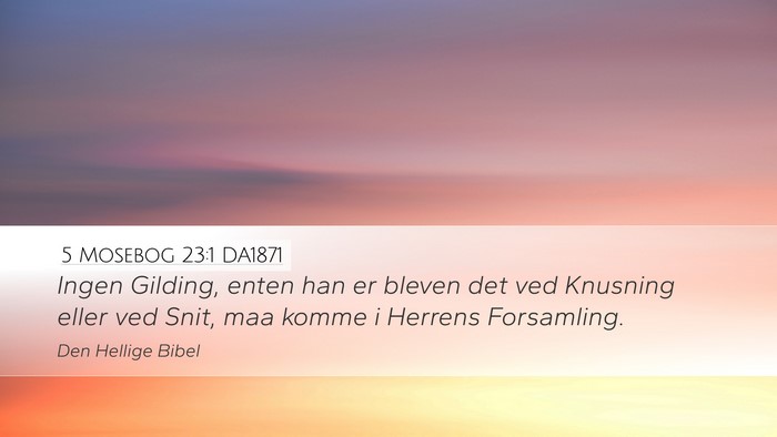5 Mosebog 23:1 DA1871 Bible Verse Image