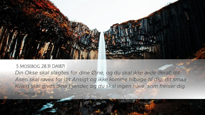 5 Mosebog 28:31 DA1871 Bible Verse Image