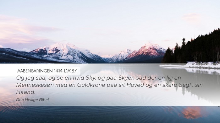 Aabenbaringen 14:14 DA1871 Bible Verse Image