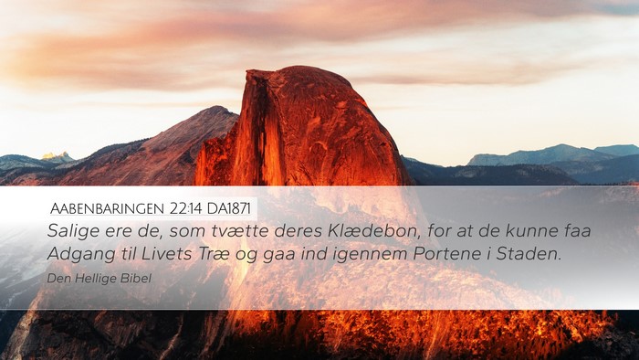 Aabenbaringen 22:14 DA1871 Bible Verse Image