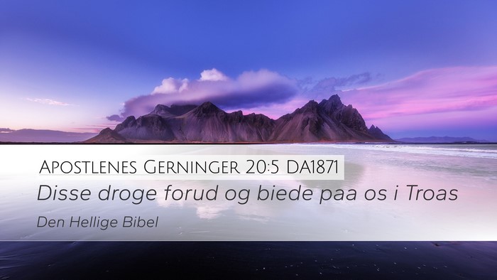 Apostlenes Gerninger 20:5 DA1871 Bible Verse Image
