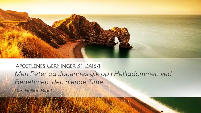 Apostlenes Gerninger 3:1 DA1871 Bible Verse Image