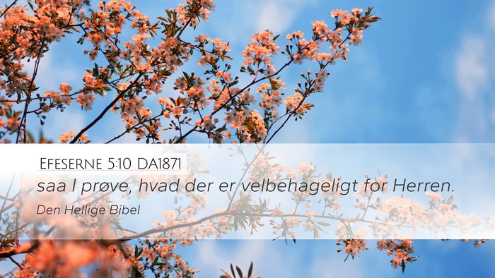 Efeserne 5:10 DA1871 Bible Verse Image