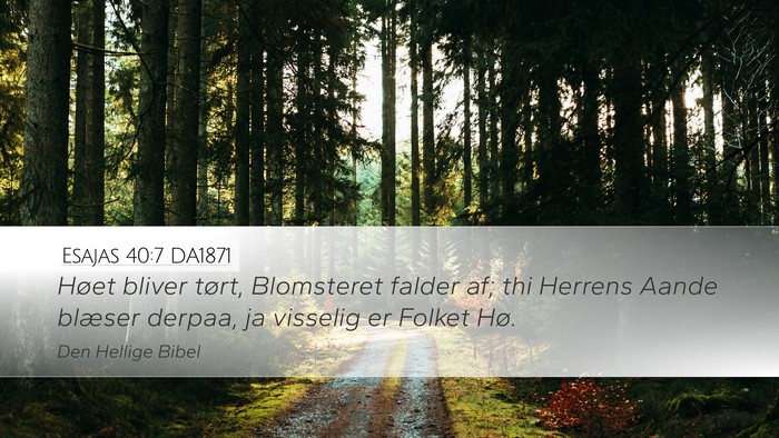 Esajas 40:7 DA1871 Bible Verse Image