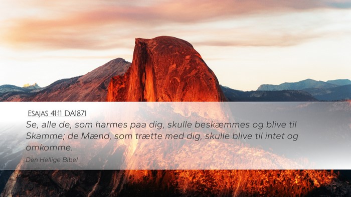Esajas 41:11 DA1871 Bible Verse Image