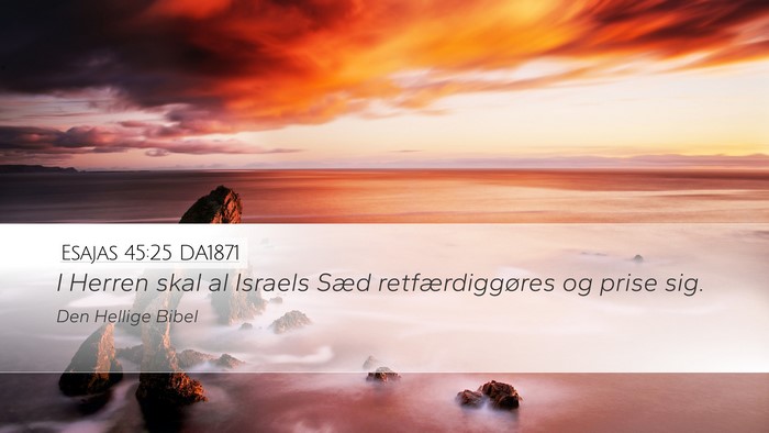 Esajas 45:25 DA1871 Bible Verse Image