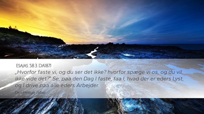 Esajas 58:3 DA1871 Bible Verse Image