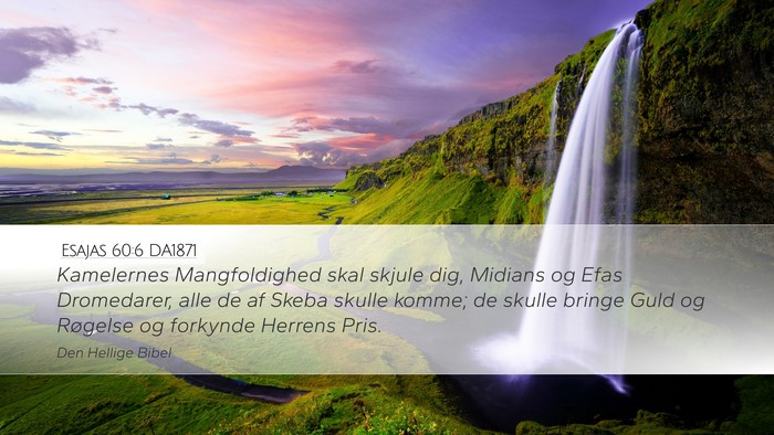 Esajas 60:6 DA1871 Bible Verse Image