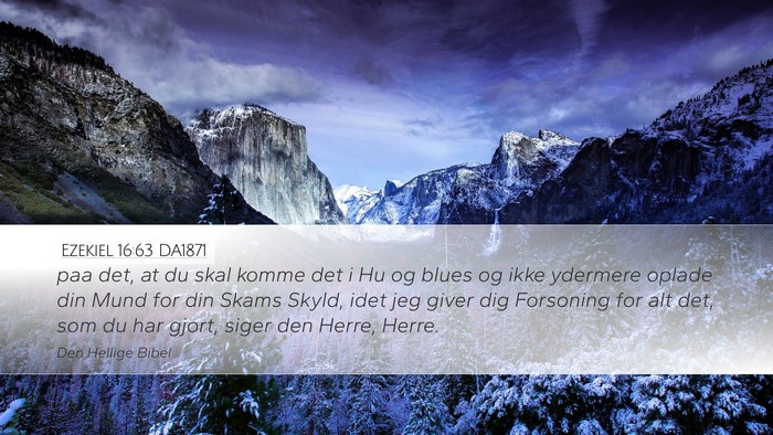 Ezekiel 16:63 DA1871 Bible Verse Image