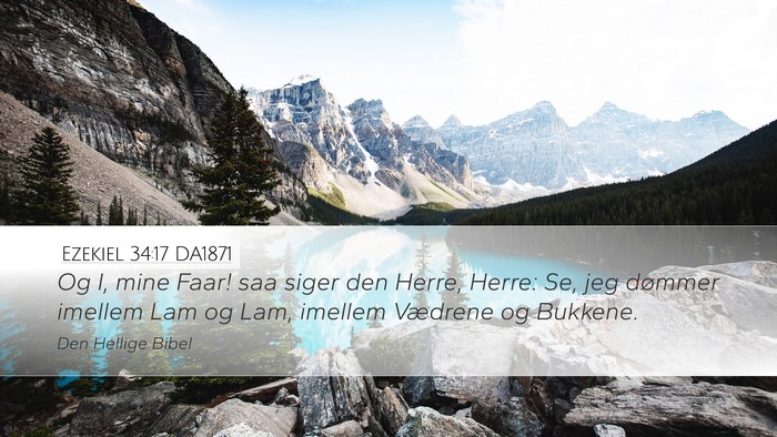Ezekiel 34:17 DA1871 Bible Verse Image