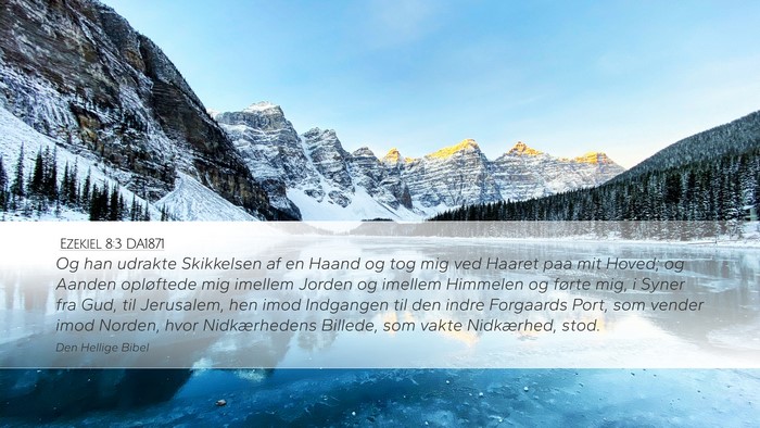 Ezekiel 8:3 DA1871 Bible Verse Image