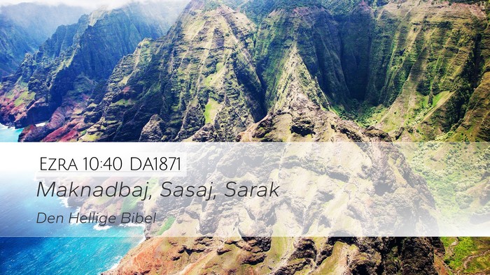 Ezra 10:40 DA1871 Desktop Wallpaper - Maknadbaj, Sasaj, - Desktop Bible Verse Wallpaper
