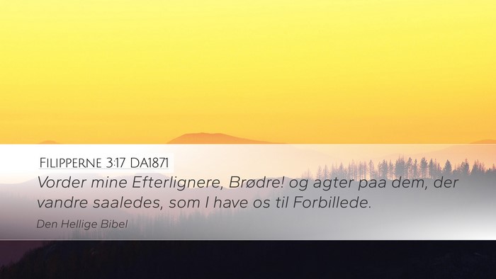 Filipperne 3:17 DA1871 Bible Verse Image