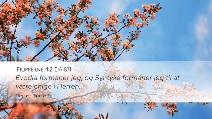 Filipperne 4:2 DA1871 Desktop Wallpaper - Evodia formaner jeg, og Syntyke formaner jeg til - Desktop Bible Verse Wallpaper