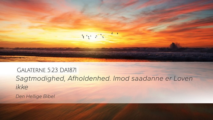 Galaterne 5:23 DA1871 Bible Verse Image