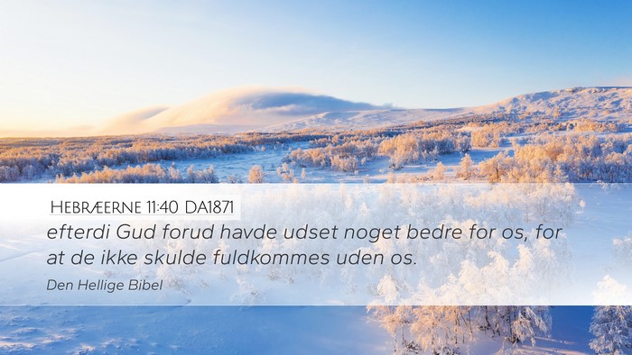 Hebræerne 11:40 DA1871 Desktop Wallpaper - efterdi Gud forud havde udset noget bedre for os, - Desktop Bible Verse Wallpaper