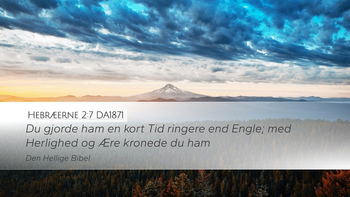 Hebræerne 2:7 DA1871 Bible Verse Image
