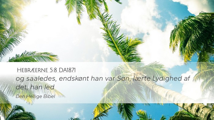 Hebræerne 5:8 DA1871 Bible Verse Image
