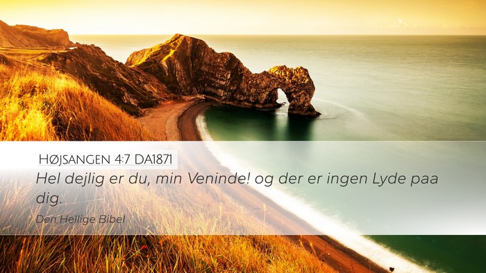 Højsangen 4:7 DA1871 Bible Verse Image