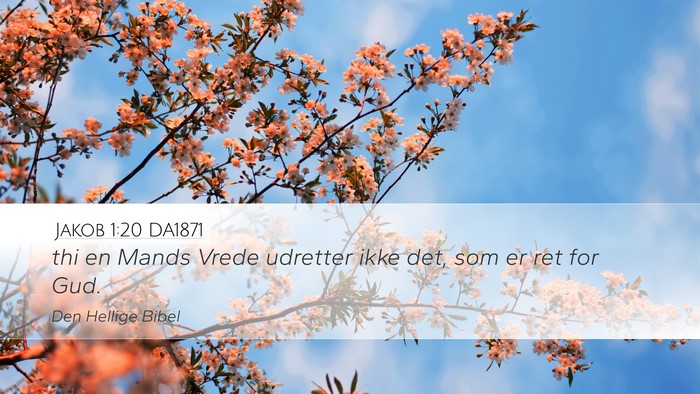 Jakob 1:20 DA1871 Desktop Wallpaper - thi en Mands Vrede udretter ikke det, som er ret - Desktop Bible Verse Wallpaper