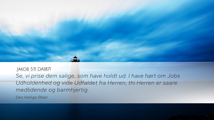 Jakob 5:11 DA1871 Bible Verse Image