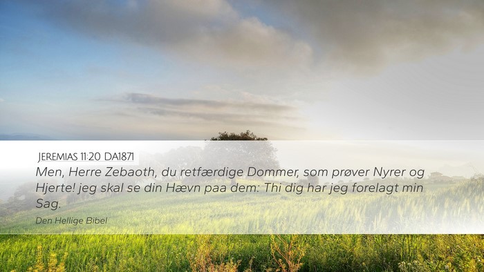 Jeremias 11:20 DA1871 Bible Verse Image
