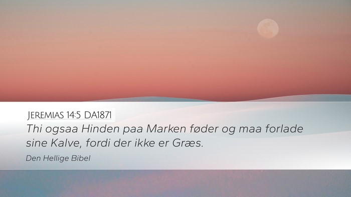 Jeremias 14:5 DA1871 Desktop Wallpaper - Thi ogsaa Hinden paa Marken føder og maa forlade - Desktop Bible Verse Wallpaper