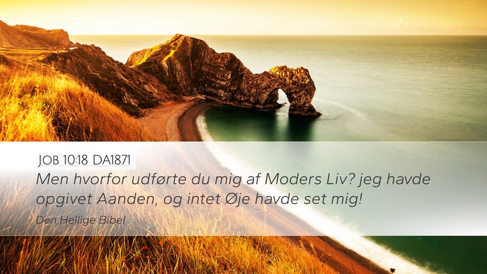 Job 10:18 DA1871 Bible Verse Image