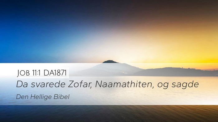 Job 11:1 DA1871 Bible Verse Image